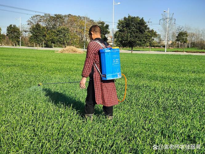 小麦年后控旺，选对控旺剂是关键 一份详尽的用药指南